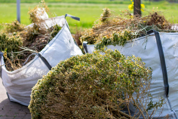Best Local Junk Hauling  in Huntington, WV